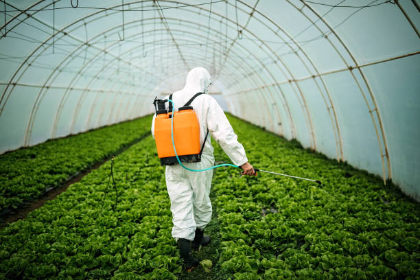 Best Pest Control Near Me in Buena Park, CA