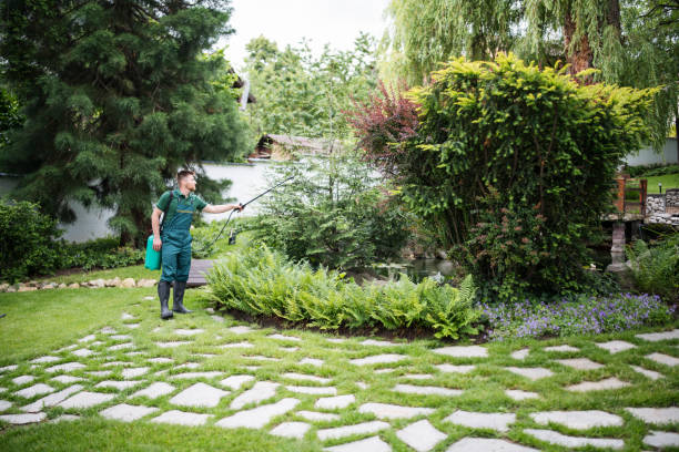 Best Best Pest Control Companies  in Buena Park, CA
