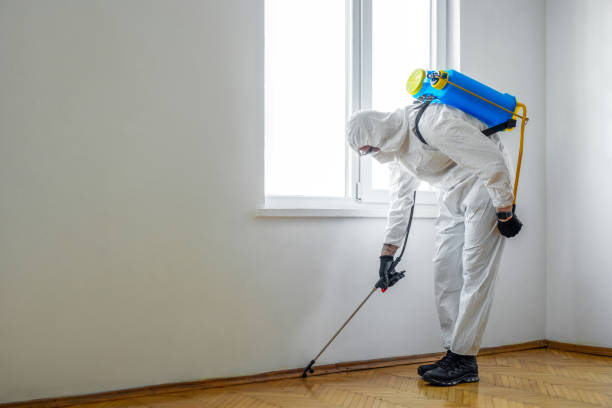 Reliable Buena Park, CA Pest Control Solutions