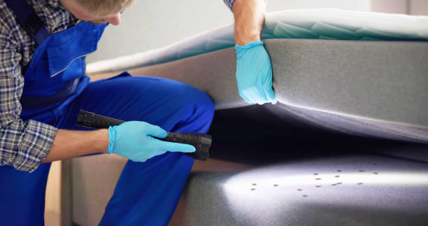 Best Commercial Pest Control Services  in Buena Park, CA
