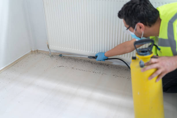 Best Wildlife Control Services  in Buena Park, CA