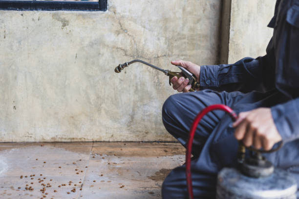 Pest Control for Restaurants in Buena Park, CA
