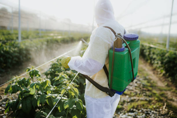 Best Affordable Pest Control Services  in Buena Park, CA